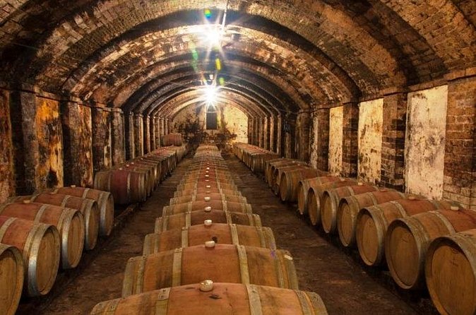 Chianti & Supertuscan Tour 2 Wineries Small Group 8 people max from Florence - What you actually get to drink (and how tastings are handled)