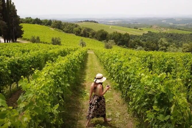 Chianti vineyards: Small-Group tour with wine tasting & Dinner - From Florence to the Chianti hills: the timing that matters