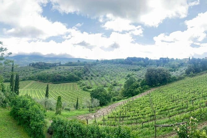Chianti Vineyards Tours in Private Luxury Van from Florence - Casa Emma: the lunch-or-tasting choice in the vineyard