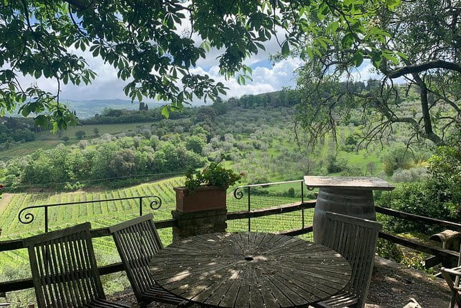 Chianti Vineyards Tours in Private Luxury Van from Florence - Brogioni SAS: manual production and an organic Chianti Classico tasting