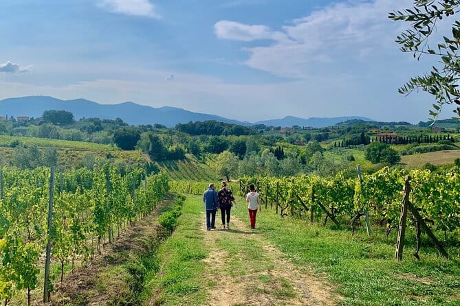 Chianti Wine Tasting Tour from Florence (2 Wineries) - From Florence to the Chianti hills, without the hassle