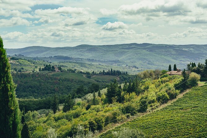 Chianti Wine Tour for Small Groups: Family Wineries & Lunch - The Real “Why” Behind This Chianti Day