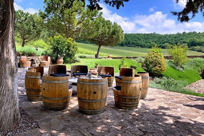 Chianti Wine Tour for Small Groups: Family Wineries & Lunch - The Tuscan Lunch That Actually Matters for Wine Pairing