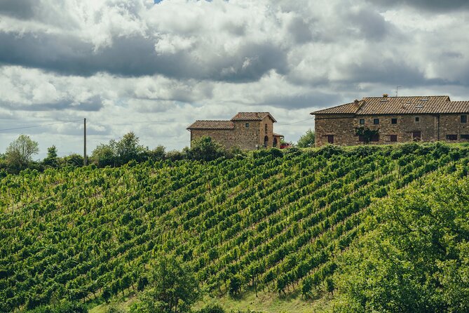 Chianti Wine Tour for Small Groups: Family Wineries & Lunch - Timing, Comfort, and Getting the Most Out of an 8-Hour Day