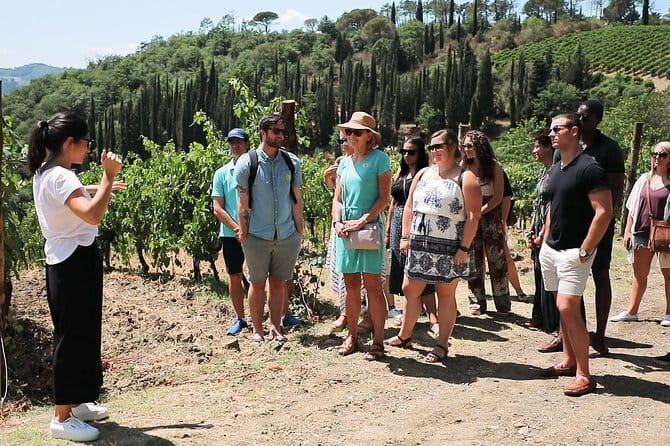 Chianti Wine Tour from Florence - Chianti Is the Main Event Here, Not a Side Trip