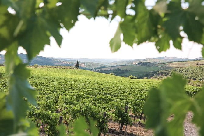 Chianti Wine Tour from Florence - The Chianti Road Return to Florence: Finish With the Right Mindset