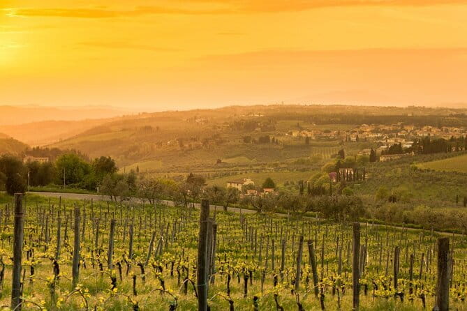Chianti Wine Tour from Florence to San Gimignano with 2 Wineries - The Big Question: Is the $330.39 Price a Deal?