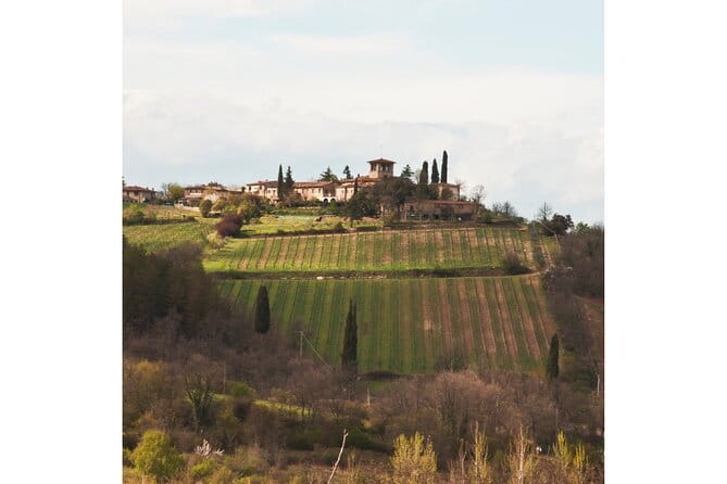 Chianti Wine Tour from Florence to San Gimignano with 2 Wineries - Farm Sant’Appiano: Where the Wine Story Becomes a Cellar Tour