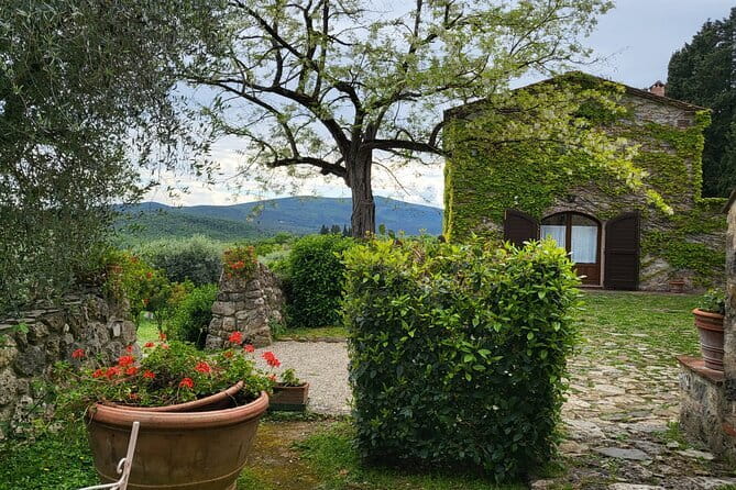 Chianti Wine Tour from Florence with Tastings - Fattoria Lornano: Your First Tastings, Snacks, and the Wine “Why”