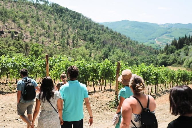 Chianti Wine Tour from Florence - The Coach Ride From Piazzale Montelungo: Views, Timing, and Heat