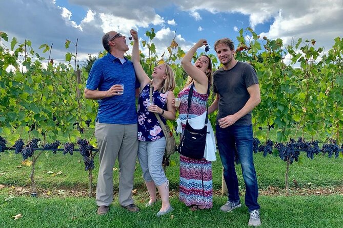 Chianti Wine Tour in Tuscany from Florence - A small-group Chianti day that actually fits your schedule