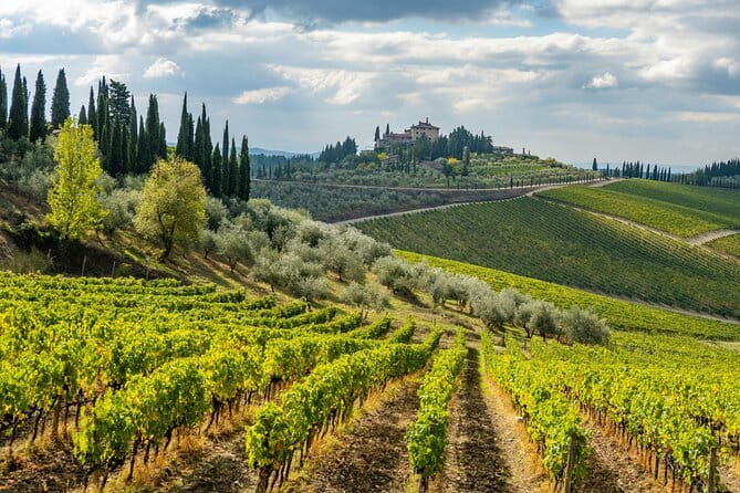 Chianti Wine Tour - Private Wine experience in Tuscany Countryside - Key highlights at a glance