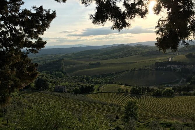 Chianti Wine Tour - Private Wine experience in Tuscany Countryside - Private Chianti from Florence: the vibe you’re really paying for
