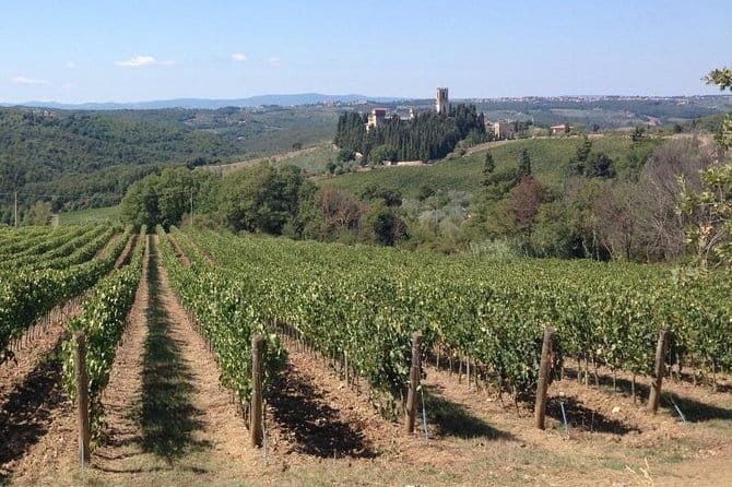 Chianti Wine Tour - Private Wine experience in Tuscany Countryside - Badia a Passignano: monastery ruins with Chianti hills in view