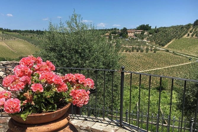 Chianti Wine Tour - Private Wine experience in Tuscany Countryside - Radda in Chianti winery visit: where your tasting education starts