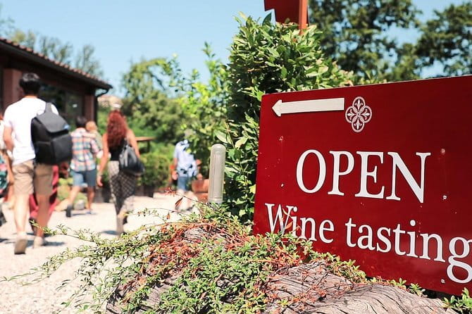 Chianti Wine Tour: Two Wine Tastings, Vineyards and Cellar Visit - Key highlights at a glance
