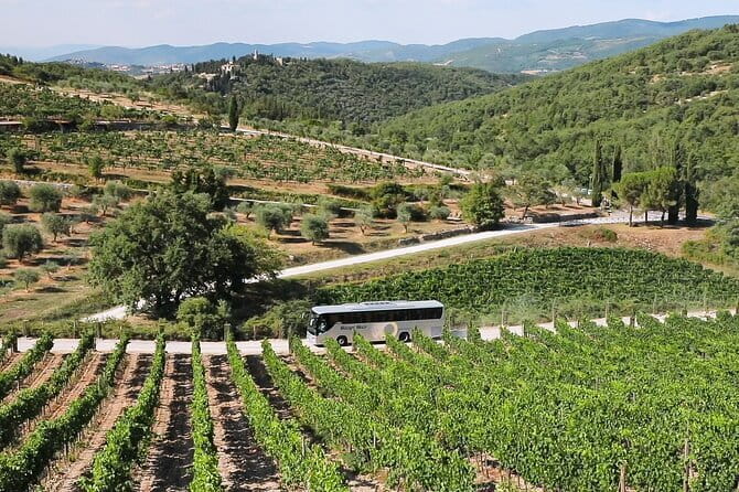 Chianti Wine Tour: Two Wine Tastings, Vineyards and Cellar Visit - Meeting at Piazzale Montelungo and the 8:15 departure reality