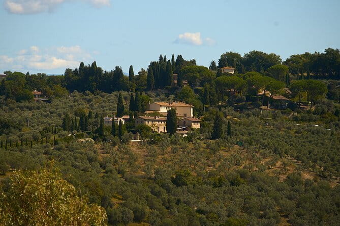 Chianti Wine Tour with Tastings Semi-Private Experience - Why this Chianti day tour makes sense from Florence