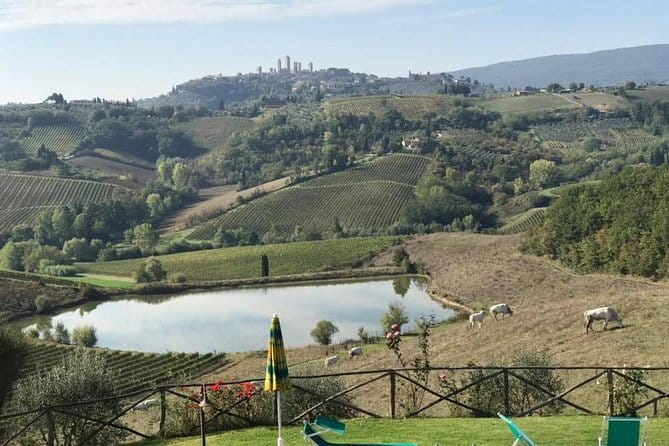 Chianti Wineries Tour with Tuscan Lunch and San Gimignano - Why This Chianti + San Gimignano Day Feels Efficient