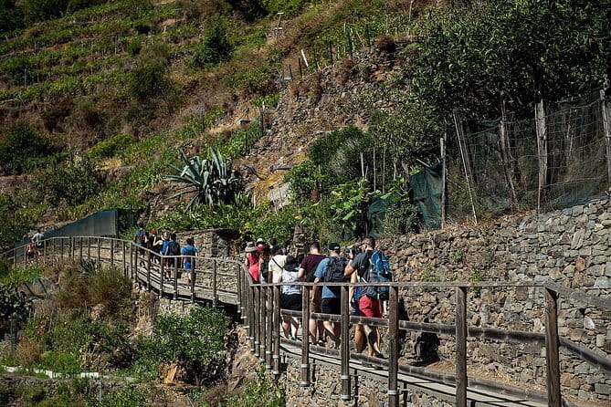 Cinque Terre Day Trip with Optional Hiking or Pisa - Manarola at golden-hour pace: bridges, vines, and cliffside charm