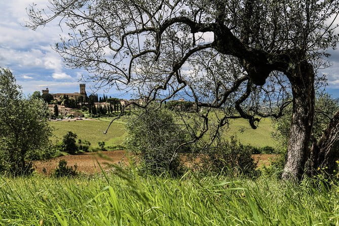 Cinque Terre & Pisa Premium Tour from Florence - Pisa Stop 5: Piazza dei Miracoli and Leaning Tower Views