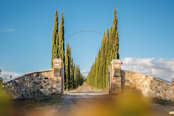 Classic Wine Tasting in Montalcino - Price and value: is $36.12 worth it?