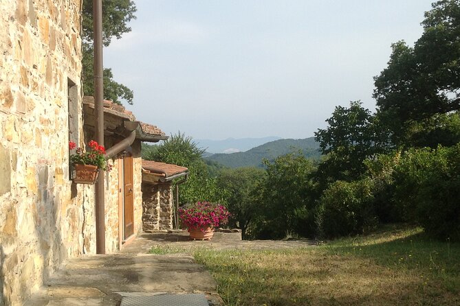 Cooking Class for Pasta Lovers in Florence Country House - Hands-on pasta making with a max of 4 people