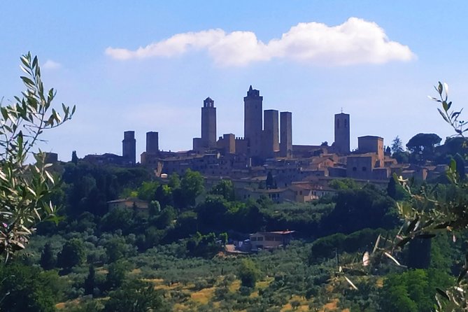 Cooking Class in a Real Tuscan Farmhouse - A Real Farmhouse Cooking Class in the Chianti Countryside
