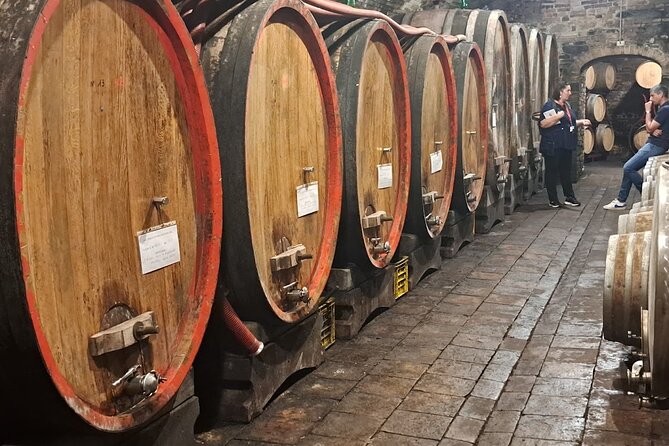 Cooking class, visit to the wine cellar, 2500 year old granaries - Who this Chianti experience is perfect for