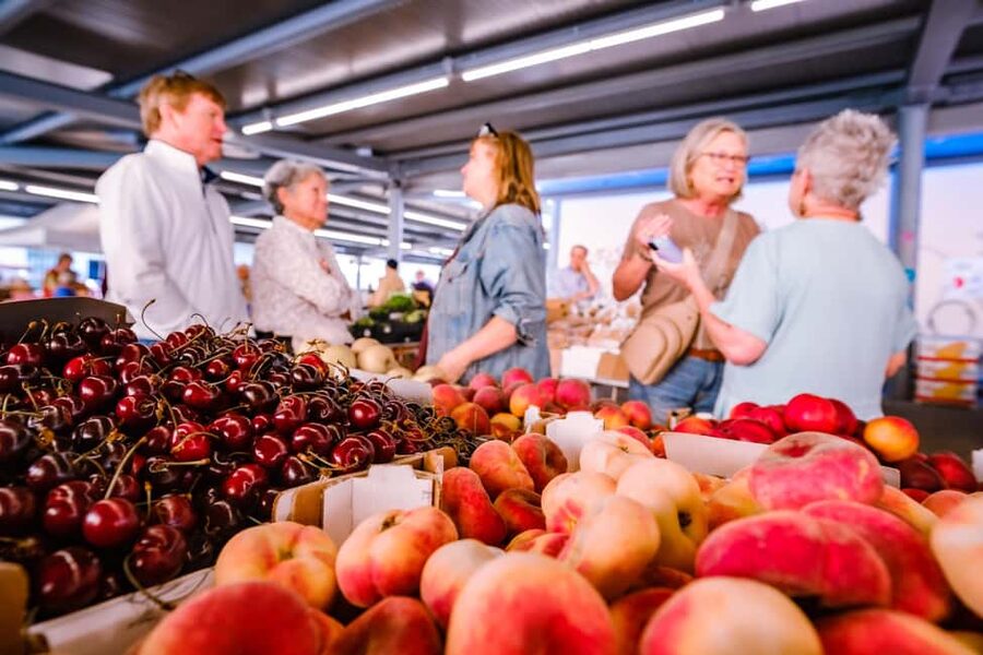 Cooking Class with Carbonara, Pesto Making, Lasagna, Cannoli - Price and value: is $81 fair for 4–5 hours in Florence?