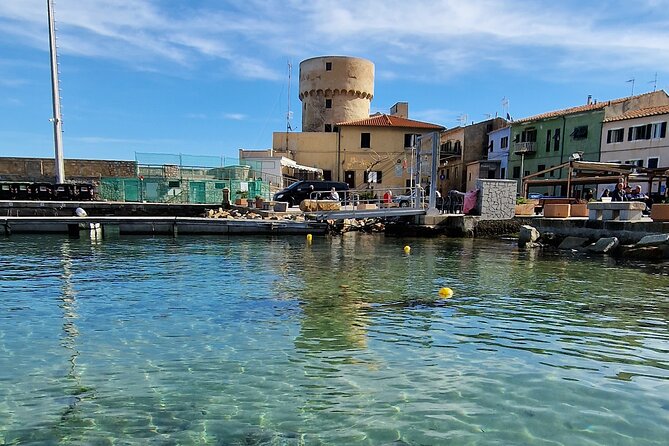 Daily excursions and guaranteed fun in Argentario - Comfort and service: Sabina and Captain Massimiliano set the tone