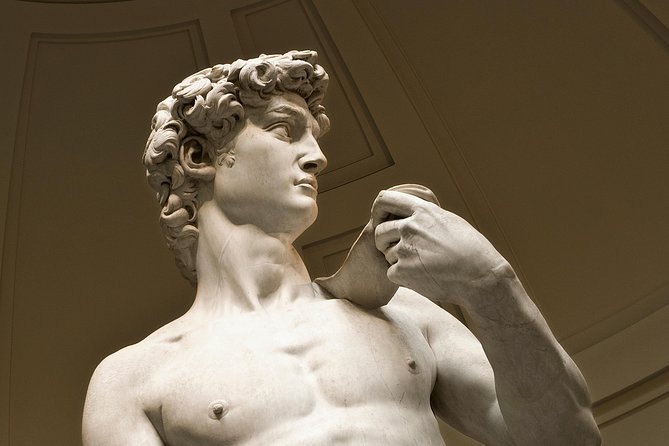 David & Accademia Gallery Private Tour - Michelangelo’s David: what the guide helps you notice