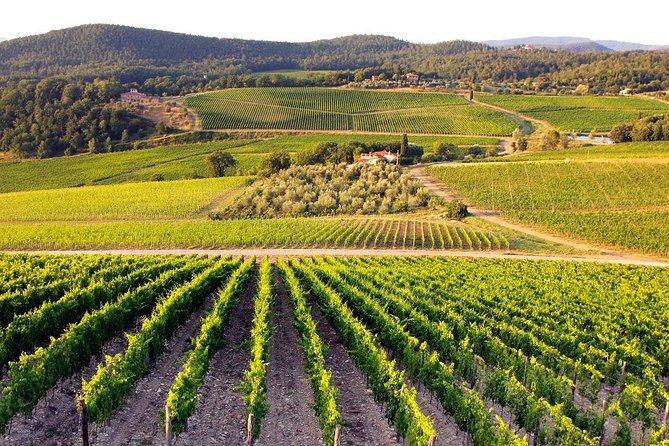 Day Trip Pisa, Siena, San Gimignano. - Air-Conditioned Minivan Comfort and a Driver-Guide Who Does the Talking
