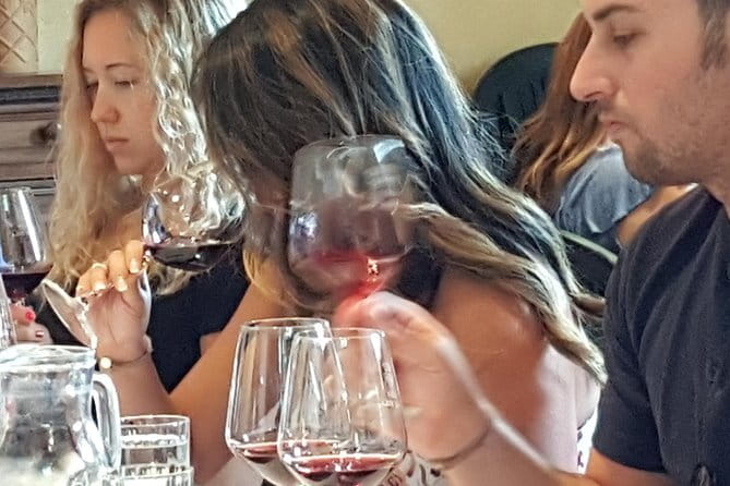 Discover Chianti Through its Wines - A vineyard walk that actually teaches you what to taste