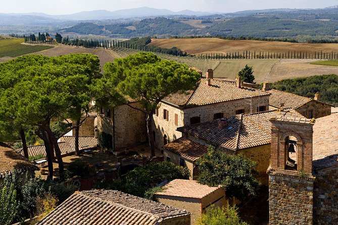Discover Montalcino through its best productions: Brunello & Saffron!! - Meeting point and timing: plan your morning like a local
