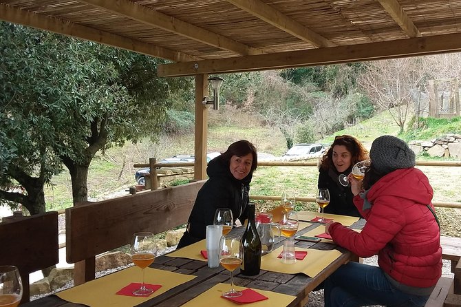 Discover Montalcino through its best productions: Brunello & Saffron!! - The cellar visit: where Rosso and Brunello make sense together