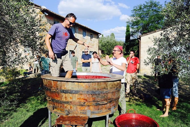 Discover Organic and Biodynamic Chianti Small Wineries - Key Details at a Glance