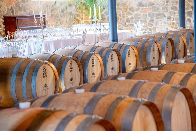 Discover San Gimignano from Livorno - From Livorno at 10:00: the easy start with a private driver