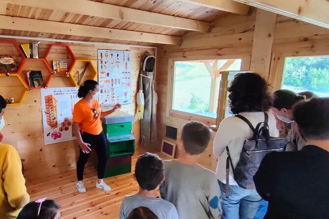 Discovering Bees in Volterra - Live Beekeeper Work Outside: Seeing the Real Rhythm Behind the Hives