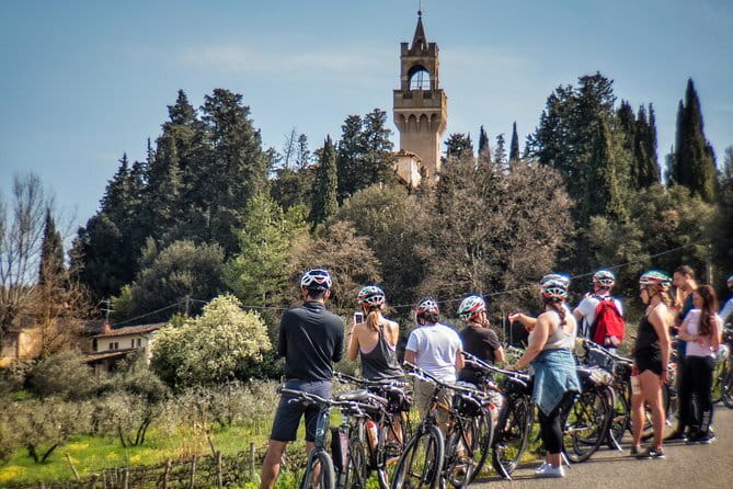 Discovering Bees in Volterra - Price, Duration, and Value for Your Time