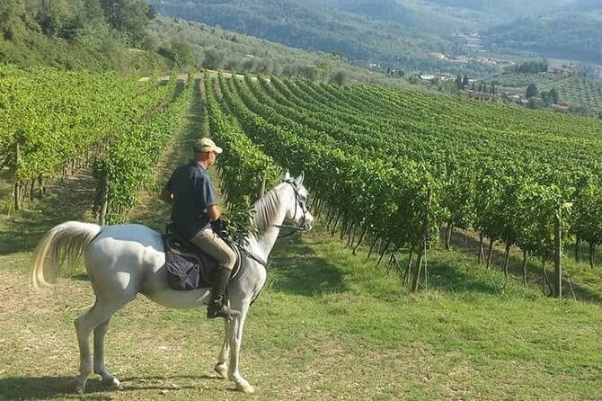 E-bike 2.5 hour Florence & Tuscany With Fresh Olive Oil and Bread - Stop 2: Villa del Poggio Imperiale and the Medici weekend vibe