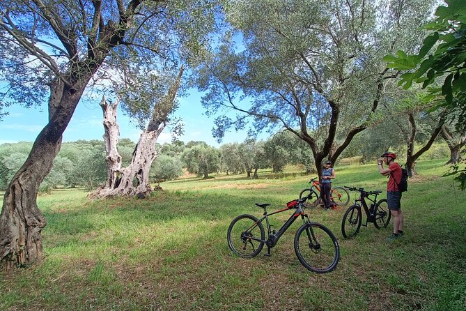 E-Bike Tour fortresses and mountains near the Free Baths of Saturnia - Bosco dei Rocconi: dirt path riding without the drama