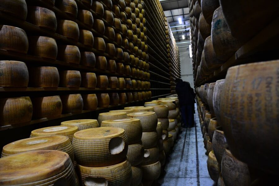 Emila-Romagna: Parmigiano, Prosciutto, Wine & Balsamic Tour - Emilia-Romagna in One Day: What This Parmigiano, Prosciutto, Wine and Balsamic Tour Really Delivers
