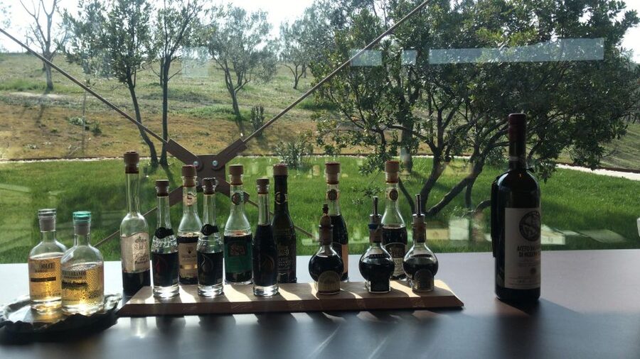 Emila-Romagna: Parmigiano, Prosciutto, Wine & Balsamic Tour - The Lambrusco Winery Visit: Learning the Wine Behind the Bubbles