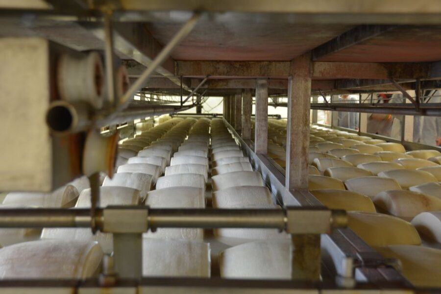 Emila-Romagna: Parmigiano, Prosciutto, Wine & Balsamic Tour - Timing, Pace, and Practical Tips From Florence Pickup to Final Drop-Off