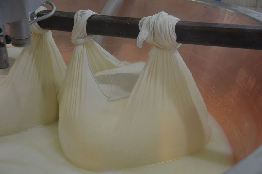Emila-Romagna: Parmigiano, Prosciutto, Wine & Balsamic Tour - Price and Value at $498: Where the Money Actually Goes