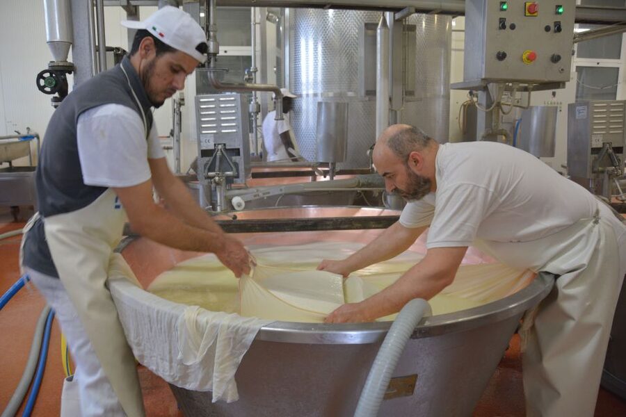 Emila-Romagna: Parmigiano, Prosciutto, Wine & Balsamic Tour - Who Should Book This Food-Focused Day Trip