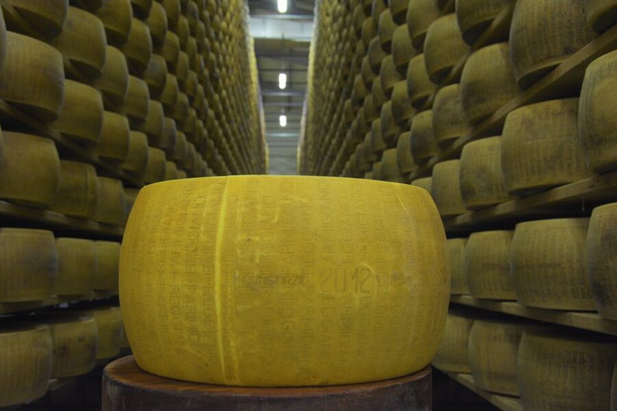 Emila-Romagna: Parmigiano, Prosciutto, Wine & Balsamic Tour - Cooperativa San Silvestro: A Biological Parmesan Factory Lesson With Tastings