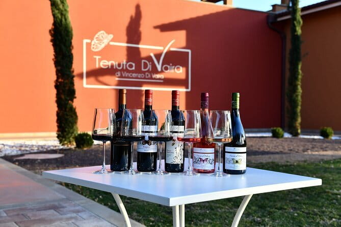 Exclusive Bolgheri from Florence: The Land of the Super Tuscan - Bolgheri and the Super Tuscan angle: why this day works