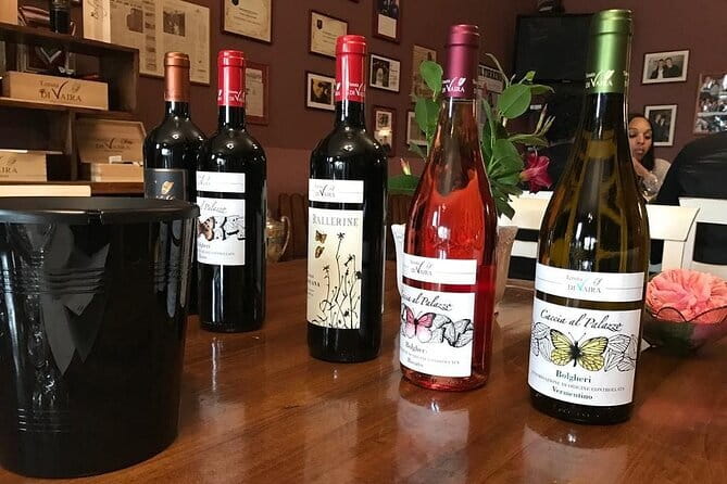 Exclusive Bolgheri from Florence: The Land of the Super Tuscan - Stop 2: Bolgheri private estate tour, from grapevines to aging rooms